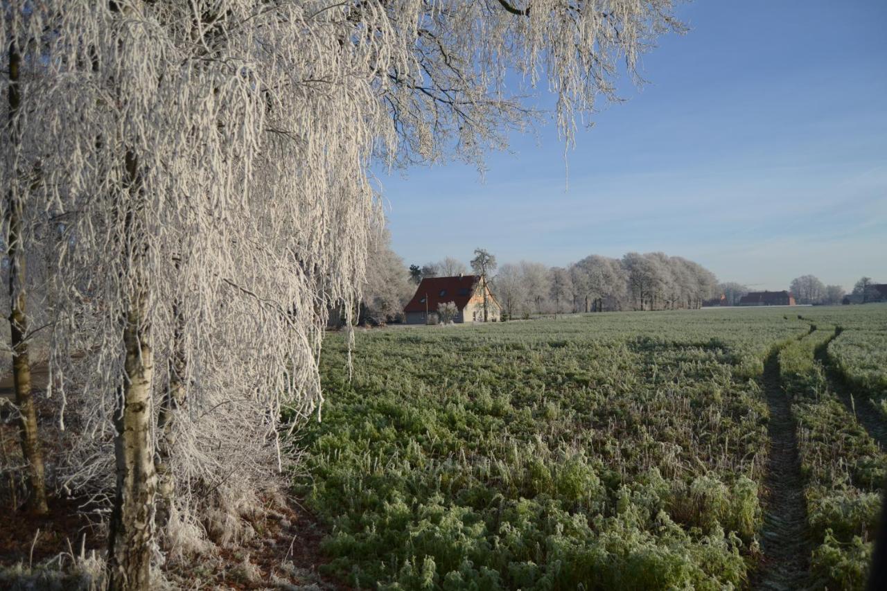 Zum Heuerling Ferienwohung Im Alten Stall Mit Sauna Ферсмольд Екстер'єр фото